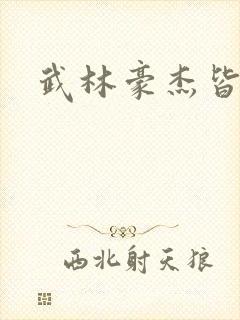 武林豪杰皆我奴