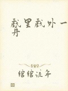 戏里戏外一叶孤舟封面