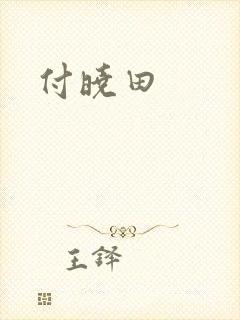 付晓田