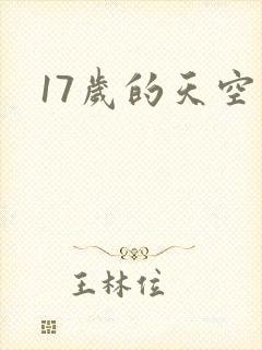 17岁的天空