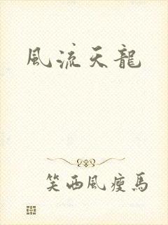 风流天龙