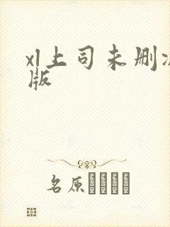 xl上司未删减版