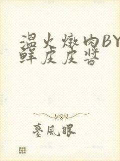 温火炖肉BY海鲜皮皮酱