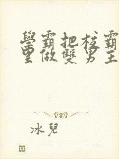 学霸把校霸往死里做双男主车封面