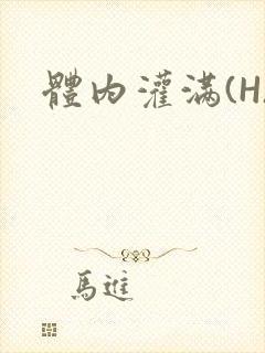 体内灌满(H)封面