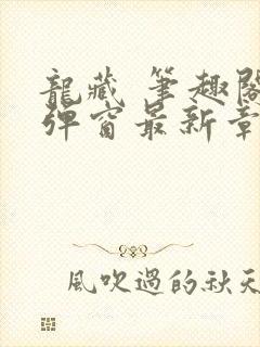 龙藏 笔趣阁无弹窗最新章节封面