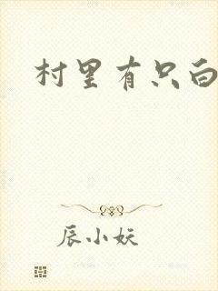 村里有只白骨精封面