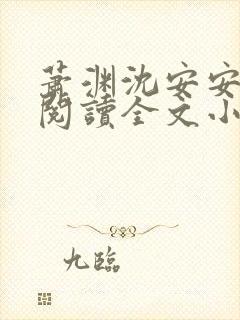 萧渊沈安安免费阅读全文小说