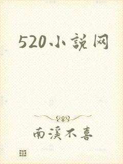 520小说网