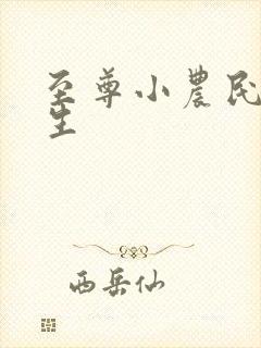 至尊小农民王木生