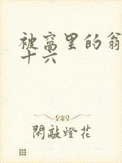 被窝里的翁憩二十六封面