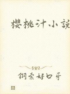 樱桃汁小说封面