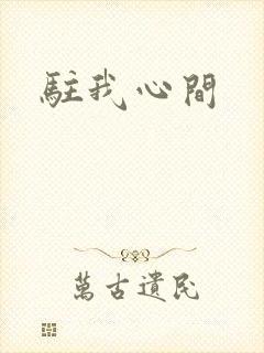 驻我心间