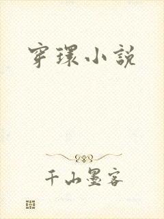 穿环小说