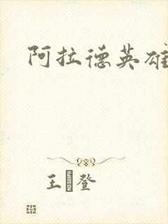 阿拉德英雄传封面