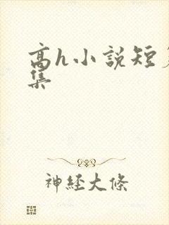 高h小说短篇合集封面