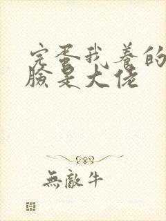 完蛋我养的小白脸是大佬