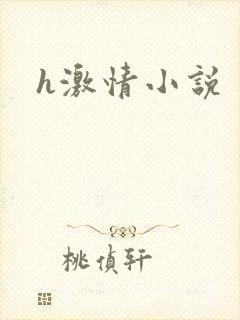 h激情小说