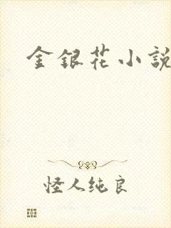 金银花小说乐可封面