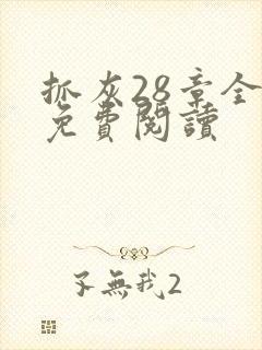 抓灰28章全部免费阅读