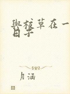 与校草在一起的日子