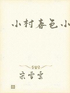 小村春色小说封面