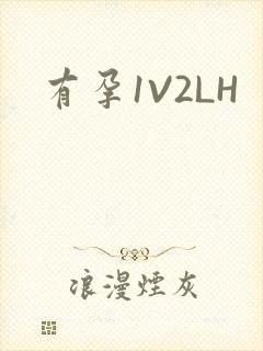 有孕1V2LH
