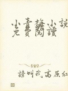 小青梅小说全文免费阅读