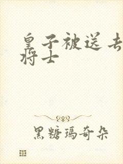 皇子被送去犒劳将士