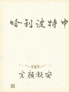 哈利波特中文版