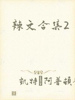 辣文合集2封面