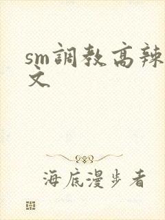 sm调教高辣h文