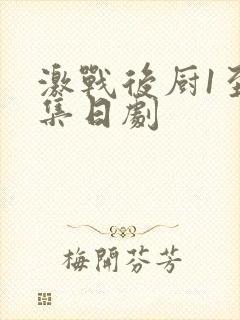 激战后厨1至5集日剧