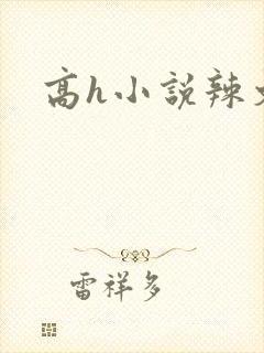 高h小说辣文