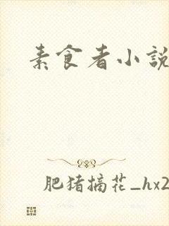 素食者小说