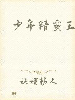 少年精灵王
