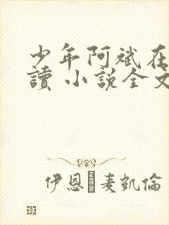 少年阿斌在线阅读 小说全文免费
