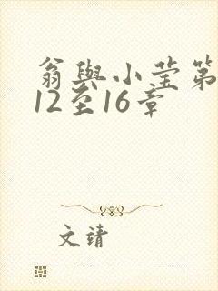 翁与小莹第十部12至16章封面