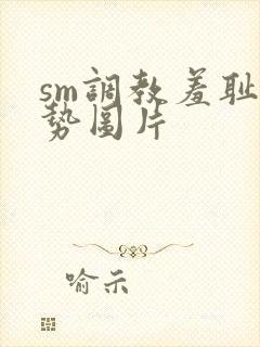 sm调教羞耻姿势图片