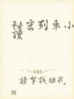 秘密列车小说阅读封面