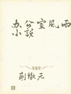 办公室风雨完整小说