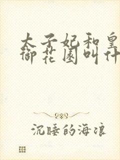 太子妃和皇帝在御花园叫什么小说