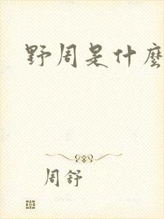 野周是什么意思