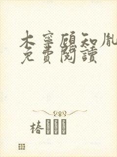 木宁顾知胤小说免费阅读