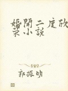 婚开二度欣欣向荣小说