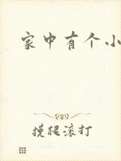 家中有个小姨子