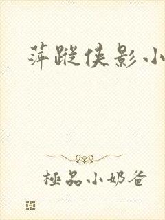 萍踪侠影小说封面