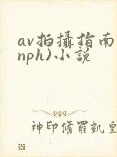 av拍摄指南(nph)小说