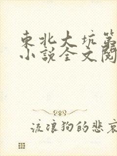 东北大坑第二部小说全文阅读