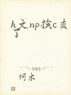 h文np挨c爽了封面